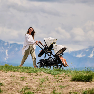 Veer &Roll Stroller Frame