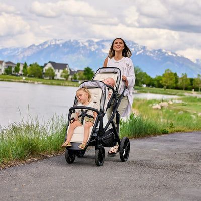 Veer &Roll Stroller Frame