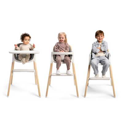 Nuna BRYN High Chair