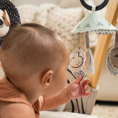 Tiny Love Black & White Décor Luxe Developmental Gymini