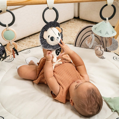 Tiny Love Black & White Décor Luxe Developmental Gymini