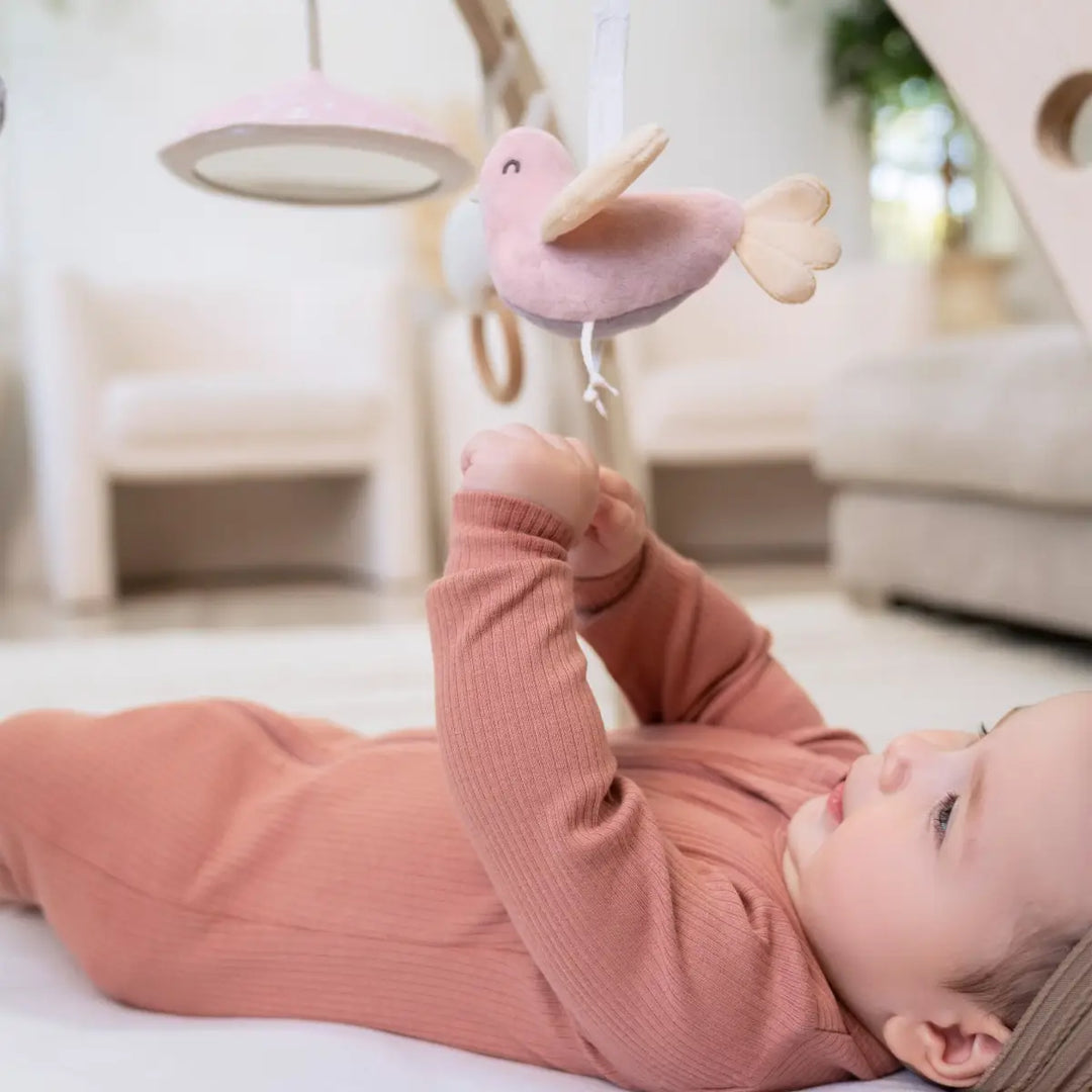 Aden+Anais ベビージム(新品、未開封) aden + anais Baby Activity Gym ma fleur – piccolinobaby