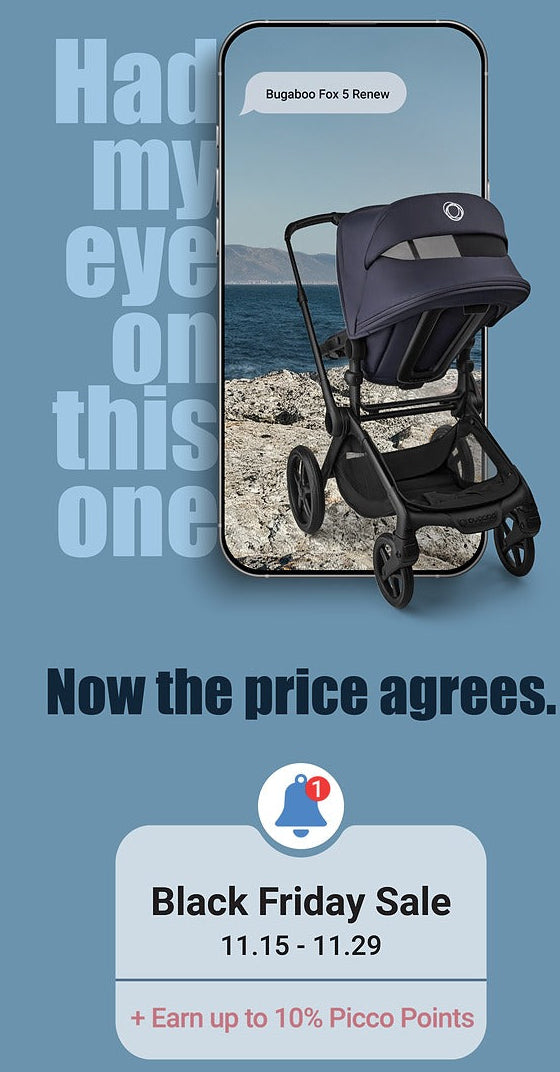 Lil Teddy  Collector’s Bear – Storybook Edition