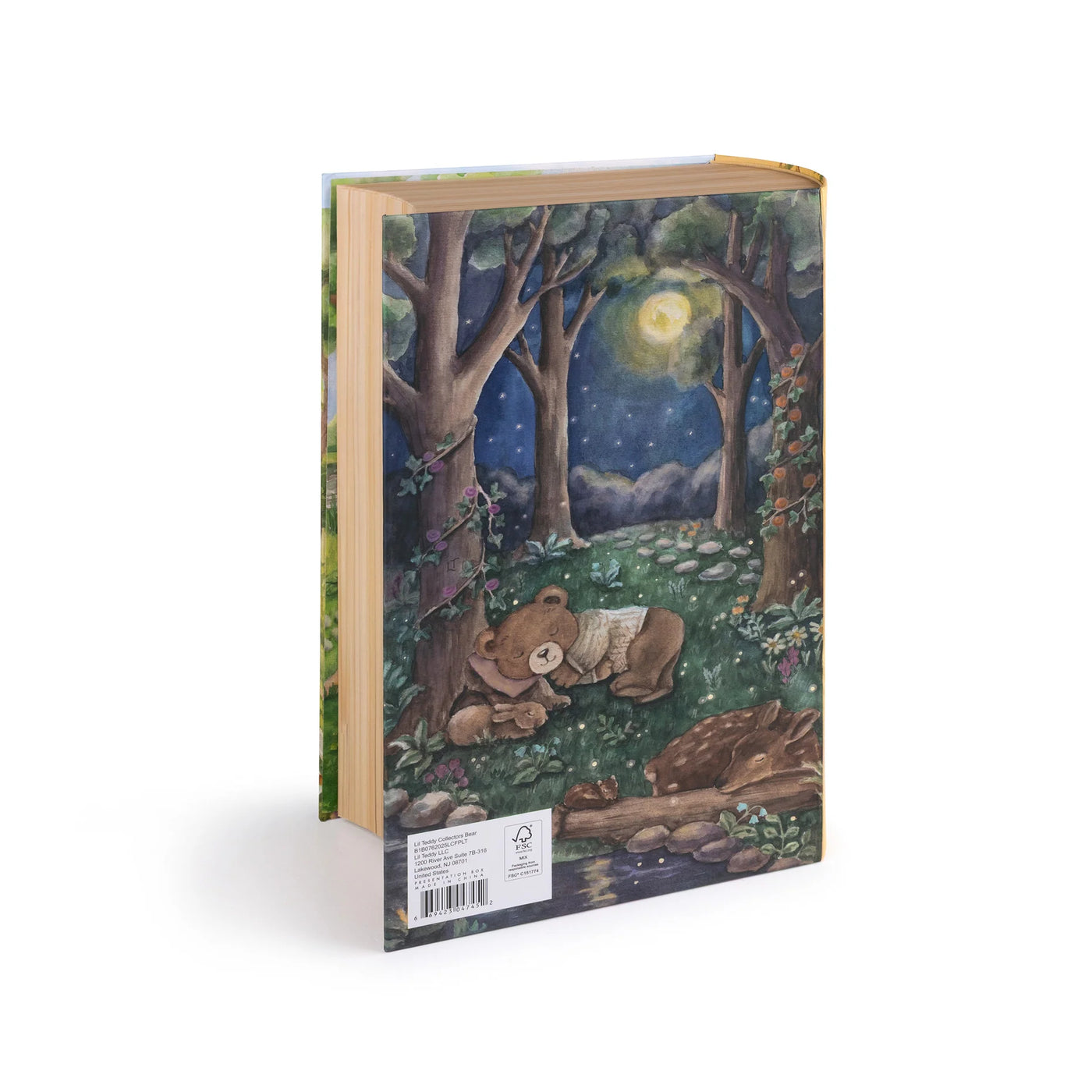 Lil Teddy  Collector’s Bear – Storybook Edition