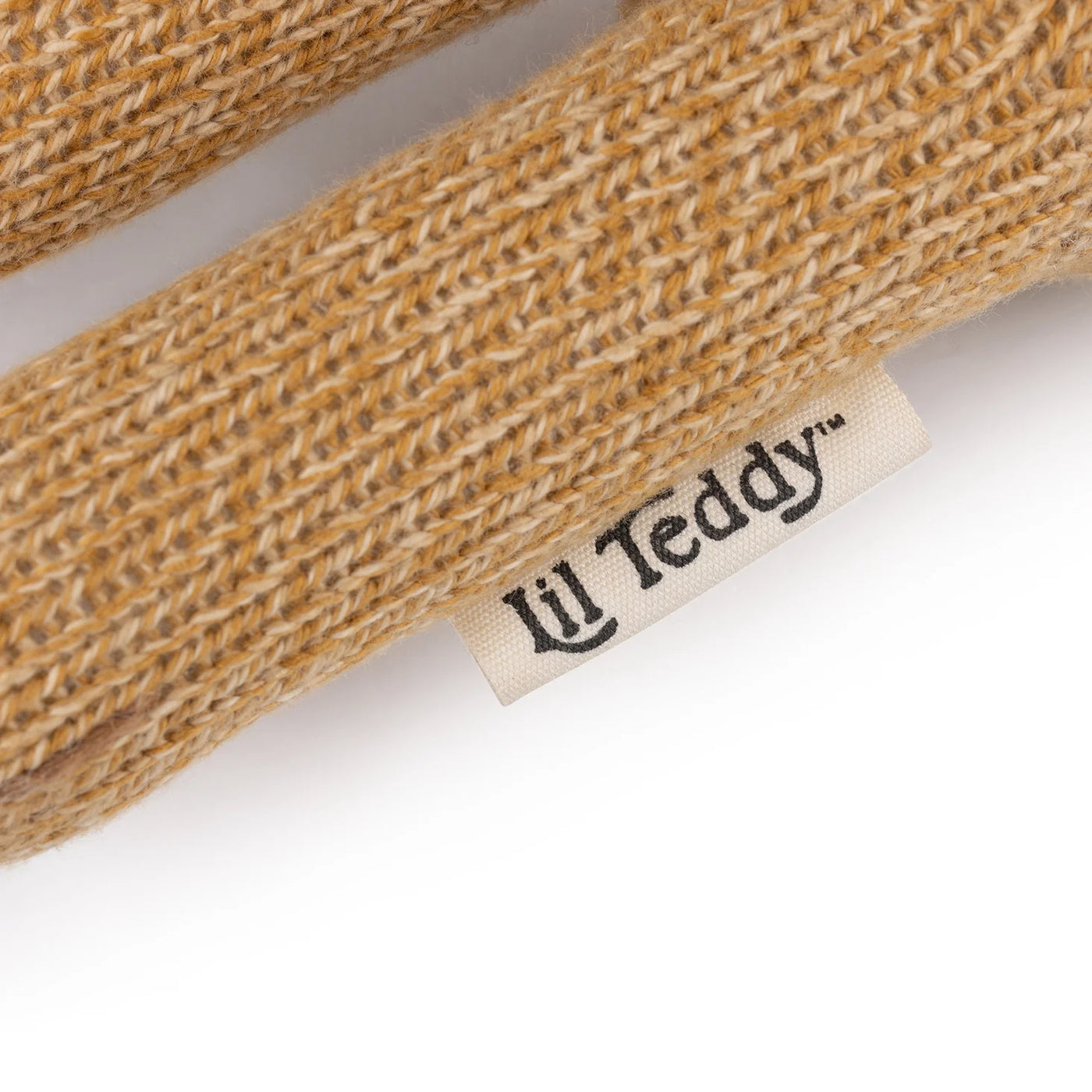 Lil Teddy  Collector’s Bear – Storybook Edition