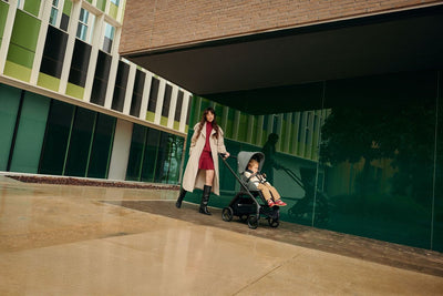 Bugaboo Dragonfly Complete Stroller