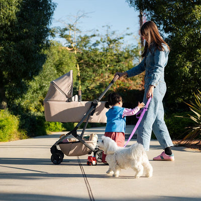 Joolz Aer2 Carrycot
