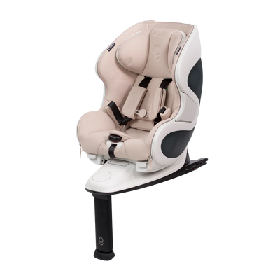 BabyArk Convertible Car Seat