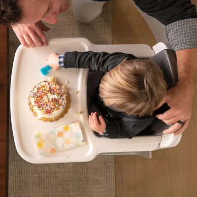 Nuna ZAAZ high chair