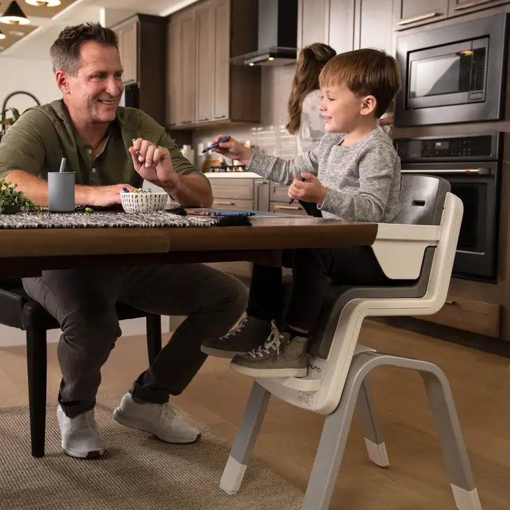 Nuna ZAAZ high chair