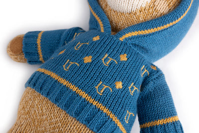 Lil Teddy  Collector’s Bear – Storybook Edition