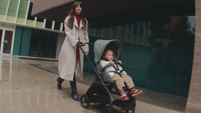 Bugaboo Dragonfly Complete Stroller