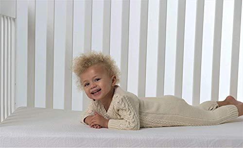 Bundle Of Dreams Organic Cotton Covered Water Repellant Two Stage Crib Mattress