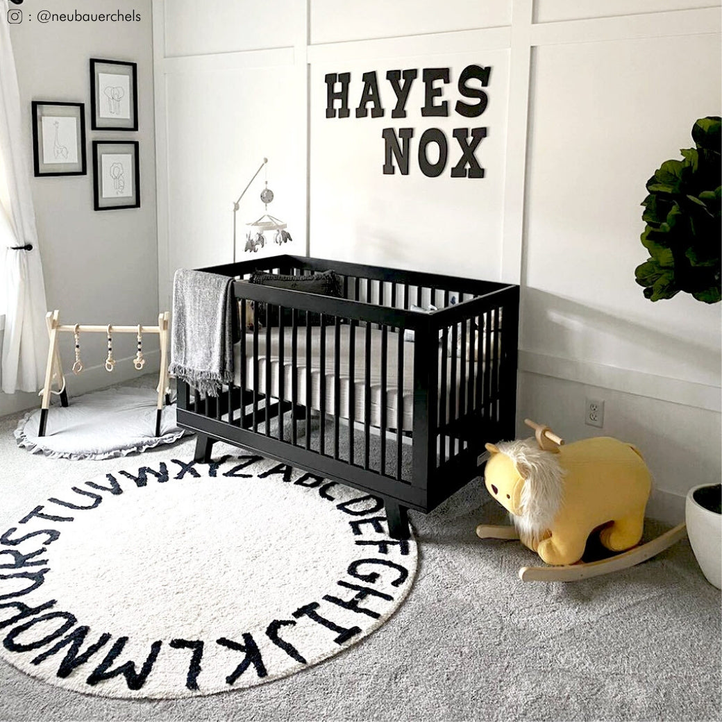 Hudson 3 in 1 Convertible Crib + Toddler Rail