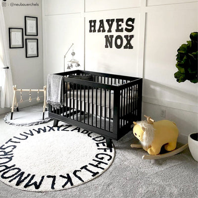 Hudson 3 in 1 Convertible Crib + Toddler Rail