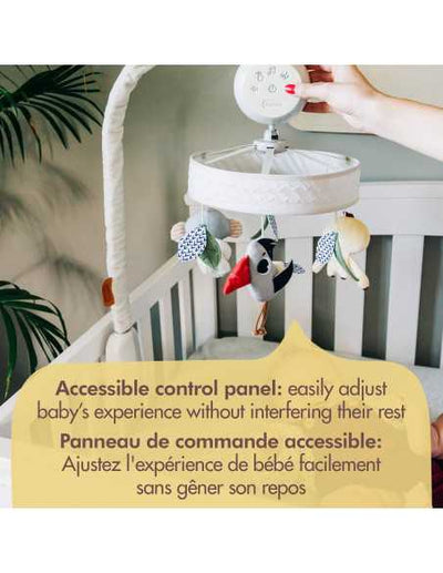 Boho Chic Tiny Love Luxe Musical Mobile