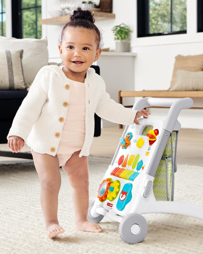 Skip Hop Explore & More Grow Along 4 In 1 Activity Walker